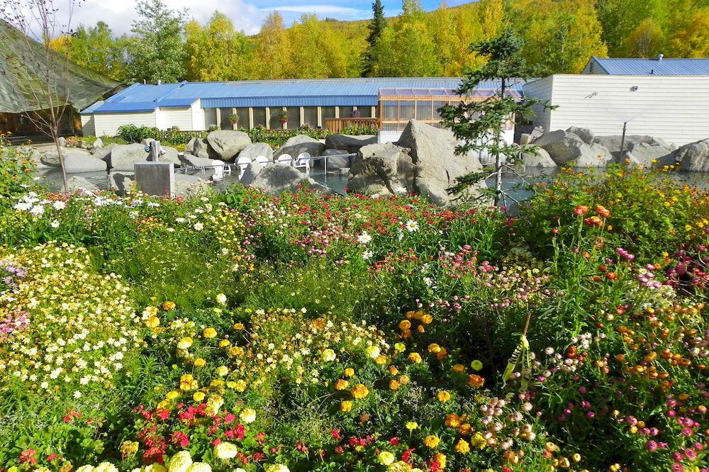 Chena Hot Springs Resort Fairbanks Ngoại thất bức ảnh