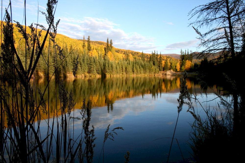 Chena Hot Springs Resort Fairbanks Ngoại thất bức ảnh