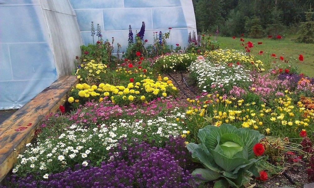 Chena Hot Springs Resort Fairbanks Ngoại thất bức ảnh