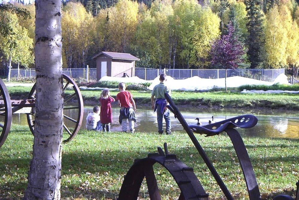 Chena Hot Springs Resort Fairbanks Ngoại thất bức ảnh