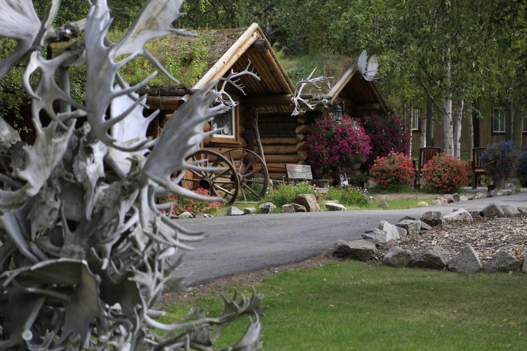 Chena Hot Springs Resort Fairbanks Ngoại thất bức ảnh